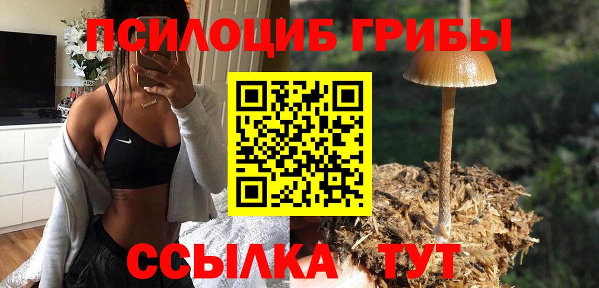 Арзамас  Псилоцибиновые грибы Magic Shrooms  Вход с VPN 